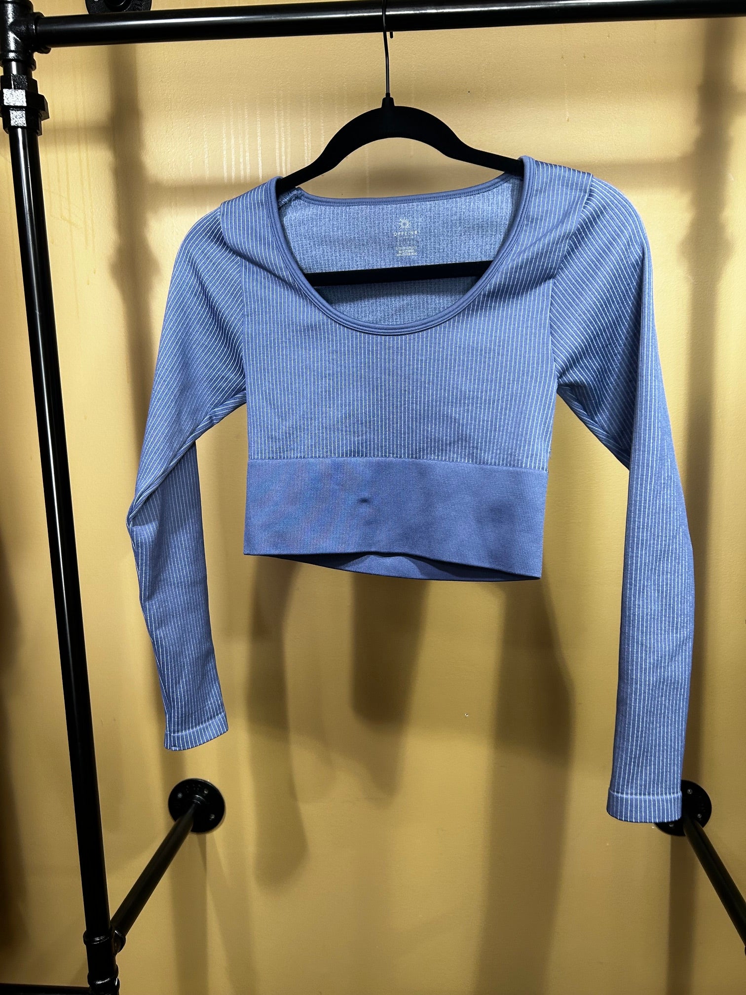 Blue Aerie Long-Sleeved Crop Top, S