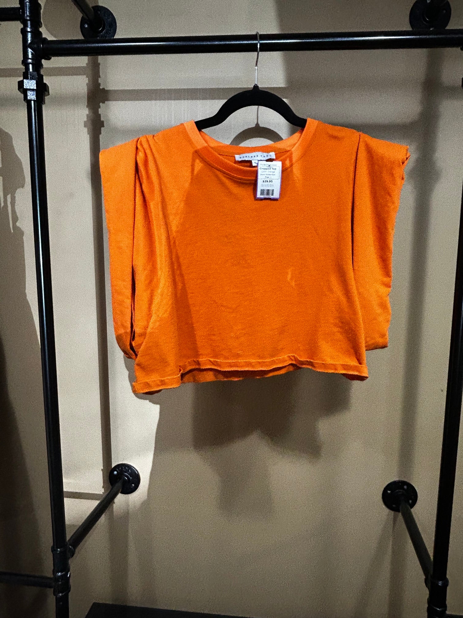 Orange Endless Rose Cropped Top, L